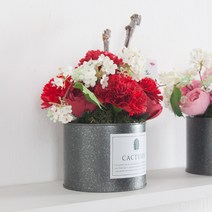 블레스 카네이션 화분set 18cm P3 조화 어버이날 스승의날 선물 감사 FAICFT, 핑크