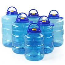 . 대원청매실통, 25L