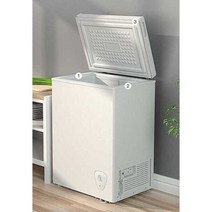 음식물냉동고 미니 냉동고 가정용 원룸 얼음 음쓰, 110리터