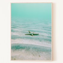 빈티지 피서 사진 불가사리 야자수 서핑보드 여름소품 바다 액자, 13. 라이트 블루