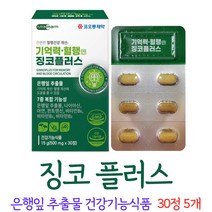 징코 플러스 진코 찡코 찐코 은행잎 추출물 영양제 식야처 인증 캡슐 넣는 알약 케이스 증정, 5개, 30정