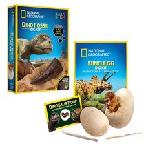 내셔널 공룡 화석 발굴 공룡알 이빨 발굴키트 실제표본포함, 6