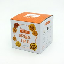 꽃집사 메리골드 키우기 미니화분 홈가드닝 씨앗 꽃 기르기 화분 세트, 단품