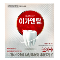 광동제약 이가엔탑 120정 4개월분 뼈와 치아형성에 필요 (인사K업그레이드), 1개
