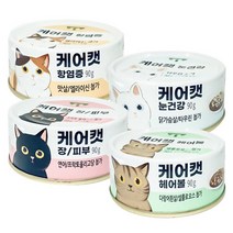 사조 케어캣 90g x24개 4가지 기능성 고양이캔, 혼합, 24개