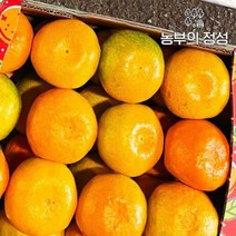 농부의정성 제주 하우스귤 선물용(로얄대과) 5kg, 단품