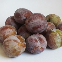 나은상점 신이 내린 과일 최상의 상품 국내산 생푸룬 자두, 1개, 2kg