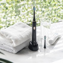 대웅생명과학 헬스온 전동 칫솔 플러스 블랙, SOT-010