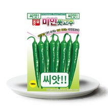 씨앗입니다! 미인풋고추씨앗 100립 과일맛 풋고추, 단품