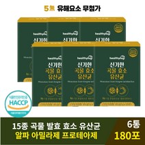 발효 곡물효소 유산균 알파 아밀라제 프로테아제 6통 지방 분해 소화효소제 알파아밀라아제 탄수화물 곡물발효 소화효소 엔자임ENZYME 탄수화물 분해 대사 천연효소