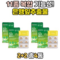 면역력 멀티 비타민 B군 판토텐산 나이아신 철분 추천 은행잎추출물 셀렌 구리 마그네슘 해조 칼슘 망간 기억력에좋은 영양제 음식 징코 플러스 종합 아연 혈행 개선 플라보놀배당체