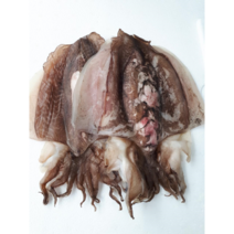 반건조 갑오징어(250g내외)1마리 건갑오징어 마른갑오징어 갑오징어피데기 갑오징어피대기, 반건조 갑오징어 1마리, 1개