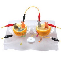 사이언스피아 과일전지 전용받침대(멜로디버저세트)(1인세트)