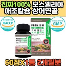 100% 인도산 보스웰리아 식물성 NAG 해조칼슘 캡슐 유향나무 프랑킨센스 보스웰릭산 글루코사민 세라타나무 테르페노이드 추출 분말 프리미엄 고함량 60대 70대 추천