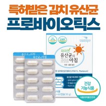 김치 유산균 임산부 수유부 60캡슐 2개월분 특허 김치 유래 유산균 락토바실러스 플란타럼 식물성 장용성 캡슐 엔테로코커스 패시움 아연 셀렌 프로프리바이오틱스 신바이오틱스