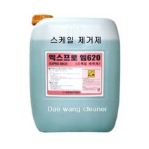 엑스프로 엠620 스케일제거제 시멘트 소석회 비누 침전물 물때 찌든얼룩, 9999