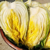 강원도 고랭지 김장 절임배추 20kg 10kg(충주 공장 발송) 날짜 지정 가능 절인배추 저린 김장 배추, 3월11일 도착, 10kg