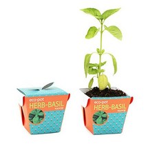 에코팟 허브바질, 에코팟 허브(바질)