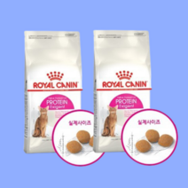 고양이 프로테인 엑시전트 2kg 2개 성묘 기호성 좋은 사료 요로 로얄캐닌