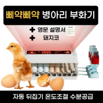 병아리 부화기 육추기 미니메추리 유정란 계란 부화 키우기 분양, 15란