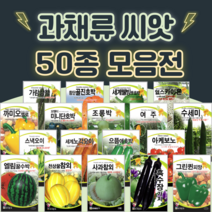 호박 단호박 수박 오이 씨앗 종자 50종 수세미 방울 토마토 파프리카 씨앗 여주 종자, 20. 광복꿀수박 200립, 1개