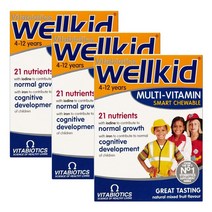 Vitabiotics Wellkid 비타바이오틱스 웰키즈 멀티비타민 스마트 츄어블 30정 3팩, 3개