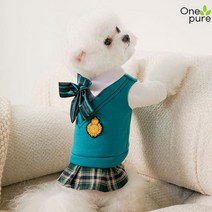 개플룩 시밀러룩 귀여운 댕플룩 공주 반려견옷 개셔니스타, 그린 맨투피스, S -권장 체중 1.5-2.5kg