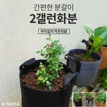 부직포 화분 식물 블루베리 키우기 2갤런 20x20 고구마 감자 블루베리 모종 키우기 베란다 텃밭 흙 담기 화분, 3화분2갤런-브라운