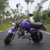 몽키바이크 모터바이크 입문용바이크, 퍼플