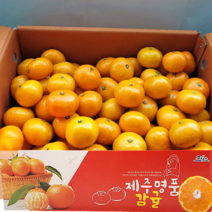 산지직송 제주도 서귀포 고당도 극조생감귤 제주 프리미엄 명품 감귤 가정용 새콤달콤 신선한 귤, 로얄과(S-M) 10kg, 1개