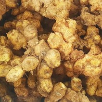 요리조리 국내산 토종 햇 흙 생강 3kg