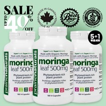 프레리 내추럴스 유기농 모링가 잎 (500mg - 180 캡슐) PRAIRIE NATURALS Moringa Leaf(500 mg - 180 Veg Caps), 500mg x 180캡슐 - 6병(5 1)