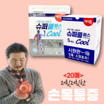 (디앤티) 근육통파스 붙이는파스 소염제파스