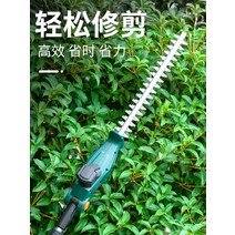 높은 가지치기 가위 각도 조절 정원용, 배터리 2개 충전 1개 무상급속충전기