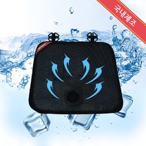 곰돌이 얼음방석 바람시트, 바람시트 승용차용12V