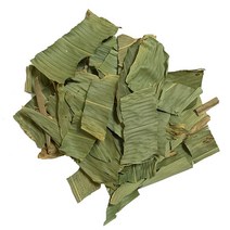 조릿대 얼룩조릿대, 1개, 200g