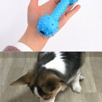 애견용 물기놀이 딸랑이 장난감 애견용품 강아지터그놀이 애견동반카페 웰시코기장난감 애완견용품 애견동반펜션 소형견장난감 반려동물용품 터그놀이장난감