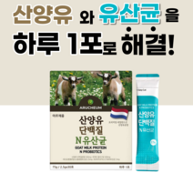 네덜란드 산양유 단백질 분말 가루 유산균 스틱 GOATSMILK goats milk protein 온 가족 패밀리 기족 애들 키즈 아이들 남성 여성 먹기편한 유상군 우산균 유산군, 30포, 1개월 분(1박스)