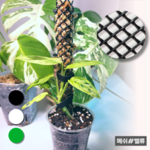 메쉬밸류 수태봉 수태벽 1M 6000원~, 7. 사각망 / 17mm / 초록 / 0.9M