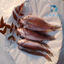 반찬용 손질되어 먹기 편한 반건조생선 민어조기 영상가이석태 조기 반건조 손질생선 말린생선, 28cm~29cm 5마리