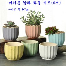 다육이 화분 및 도자기 화분 창의적 심플한 화분기, 마카롱칼라 랜덤 4개
