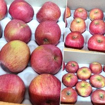 못생겨도 맛있는 가정용 흠집 사과 야채과일 야과몰 못난이 apple, 중, 5kg, 1개