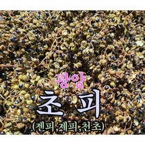 광양 백운산 초피(제피) 100g 천초열매 (추어탕 겉절이 초피차)
