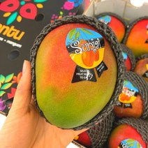 애플망고 페루 4kg 항공 직송 고당도 페루산, 상세페이지 참조, 상세페이지 참조