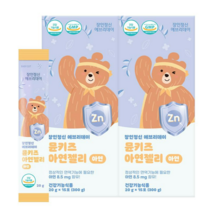 장인정신 에브리데이 뮨키즈 아연젤리 15p, 300g, 2개