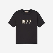 에센셜 1977 티셔츠 아이언