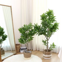 인테리어 조화 나무 인조 화분 제브라플랜트 2size, 제브라플랜트 120cm