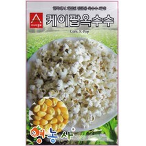 팝콘옥수수씨앗 20g, 케이팝옥수수, 1개