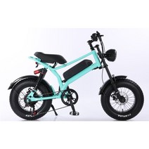 전기바이크 팻바이크 전동자전거 한강 세발전기자전거, 16인치 비앙키 그린, 12ah