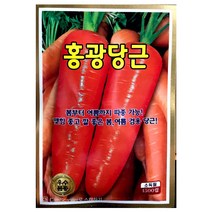 홍광당근씨앗 1500알 당근씨앗 봄당근 여름당근 씨앗